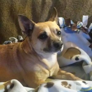 Meet your Posher, Kris